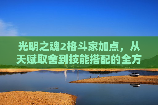 光明之魂2格斗家加点，从天赋取舍到技能搭配的全方位进阶指南,光明之魂2格斗家加点推荐