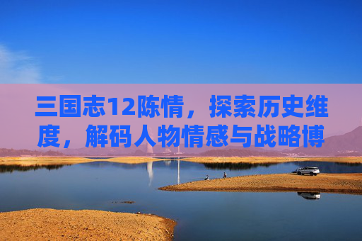 三国志12陈情，探索历史维度，解码人物情感与战略博弈的新篇章,三国志12陈情修改