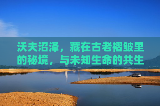 沃夫沼泽，藏在古老褶皱里的秘境，与未知生命的共生图景,沃夫和露西海滩