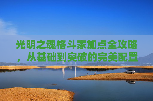 光明之魂格斗家加点全攻略，从基础到突破的完美配置方案,光明之魂2格斗家加点
