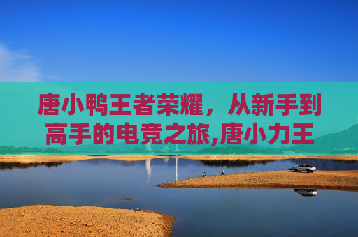 唐小鸭王者荣耀，从新手到高手的电竞之旅,唐小力王者荣耀