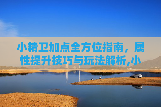 小精卫加点全方位指南，属性提升技巧与玩法解析,小精卫怎么加点技能