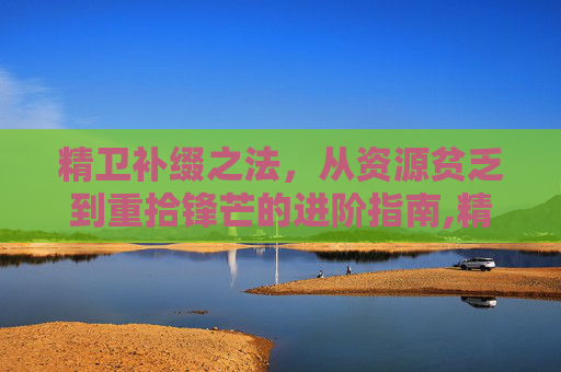 精卫补缀之法，从资源贫乏到重拾锋芒的进阶指南,精卫怎么加点和打技能书