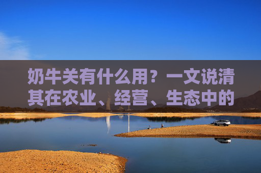 奶牛关有什么用？一文说清其在农业、经营、生态中的多重价值与应用场景,奶牛关有什么好处