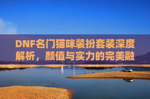 DNF名门猫咪装扮套装深度解析，颜值与实力的完美融合,dnf名门猫咪装扮套装是哪一期出来的