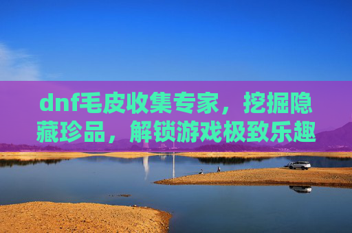 dnf毛皮收集专家，挖掘隐藏珍品，解锁游戏极致乐趣,dnf毛皮搜集专家