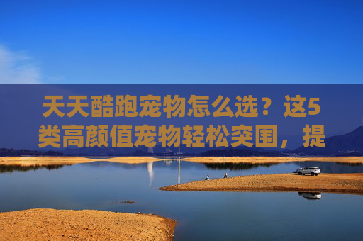 天天酷跑宠物怎么选？这5类高颜值宠物轻松突围，提升游戏体验一步到位,天天酷跑什么宠物好用