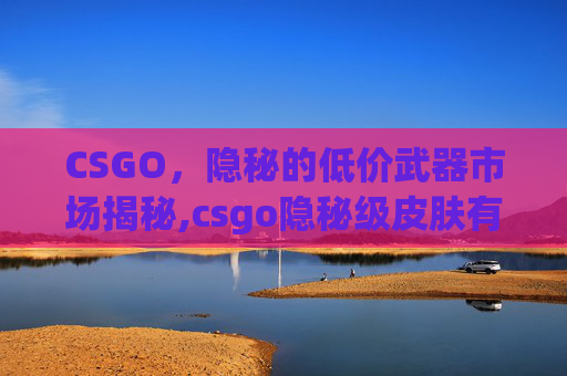 CSGO，隐秘的低价武器市场揭秘,csgo隐秘级皮肤有哪些