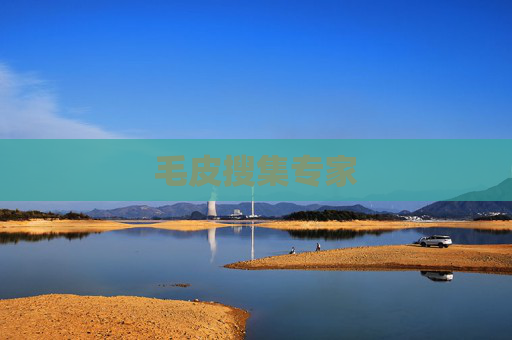 毛皮搜集专家