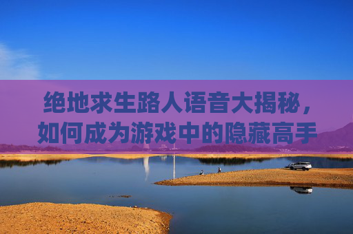 绝地求生路人语音大揭秘，如何成为游戏中的隐藏高手？,pubg队友语音