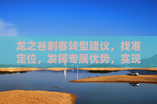龙之谷刺客转型建议，找准定位，发挥专属优势，实现职业进阶,龙之谷刺客转影还是暗