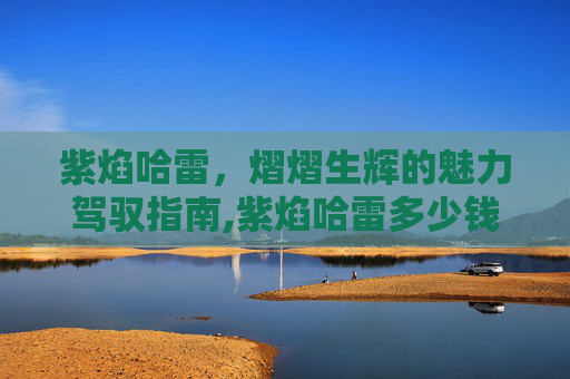紫焰哈雷，熠熠生辉的魅力驾驭指南,紫焰哈雷多少钱