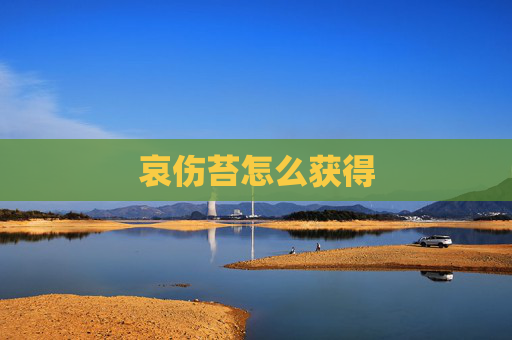 哀伤苔怎么获得