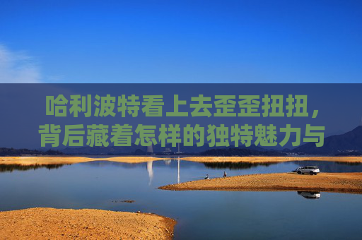 哈利波特看上去歪歪扭扭，背后藏着怎样的独特魅力与成长密码,哈利波特小说他看起来最英俊神情也最放松