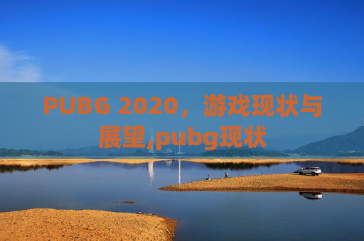 PUBG 2020，游戏现状与展望,pubg现状