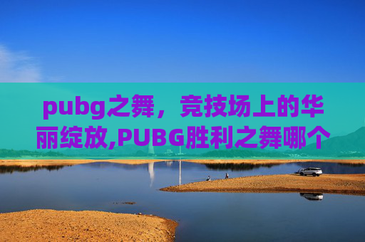 pubg之舞，竞技场上的华丽绽放,PUBG胜利之舞哪个最有性价比