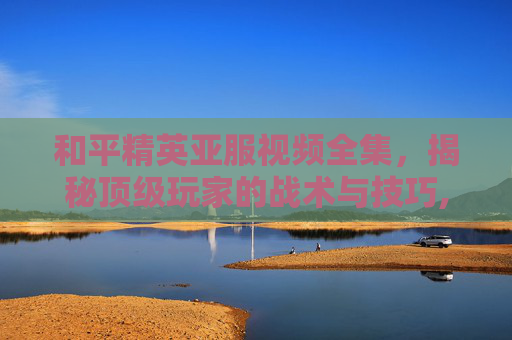 和平精英亚服视频全集，揭秘顶级玩家的战术与技巧,和平精英亚服视频全集下载