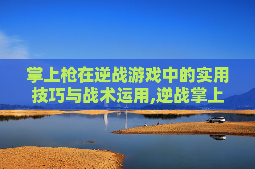 掌上枪在逆战游戏中的实用技巧与战术运用,逆战掌上枪有啥用啊知乎