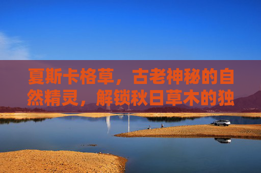 夏斯卡格草，古老神秘的自然精灵，解锁秋日草木的独特意境与生态价值,夏斯卡格草采集路线-第1张图片-游戏守望资讯网