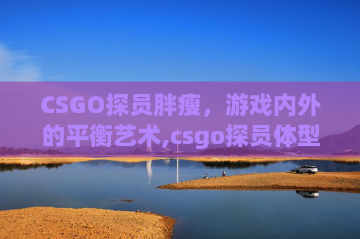 CSGO探员胖瘦，游戏内外的平衡艺术,csgo探员体型