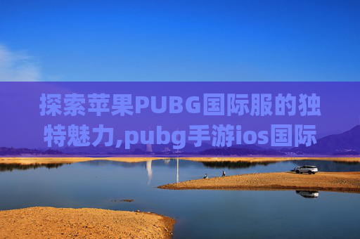 探索苹果PUBG国际服的独特魅力,pubg手游ios国际服说不了话