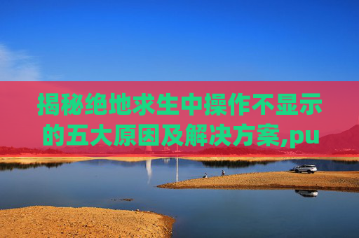 揭秘绝地求生中操作不显示的五大原因及解决方案,pubg主界面不显示人物