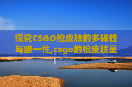 探究CSGO枪皮肤的多样性与唯一性,csgo的枪皮肤是永久的吗