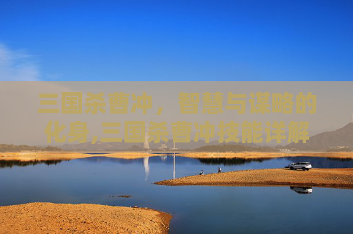 三国杀曹冲，智慧与谋略的化身,三国杀曹冲技能详解