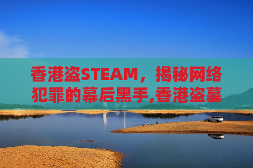 香港盗STEAM，揭秘网络犯罪的幕后黑手,香港盗墓电影