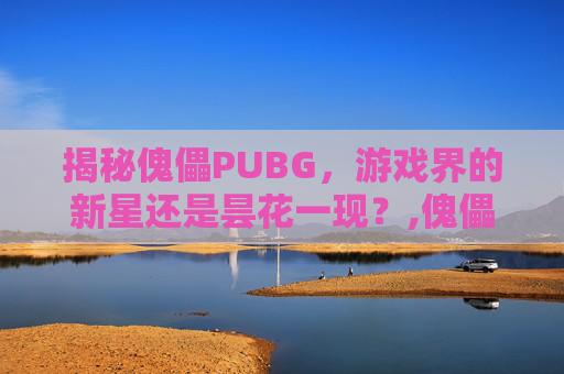 揭秘傀儡PUBG，游戏界的新星还是昙花一现？,傀儡仆人小说