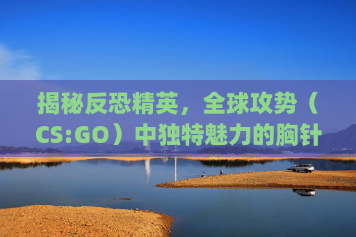 揭秘反恐精英，全球攻势（CS:GO）中独特魅力的胸针系统,csgo中的胸章