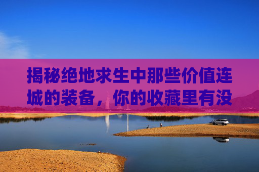 揭秘绝地求生中那些价值连城的装备，你的收藏里有没有？,pubg物品价格表