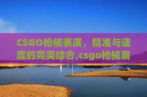 CSGO枪械表演，精准与速度的完美结合,csgo枪械展示动作按键