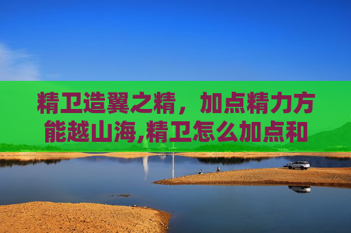 精卫造翼之精，加点精力方能越山海,精卫怎么加点和打技能书