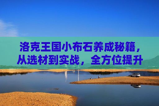 洛克王国小布石养成秘籍，从选材到实战，全方位提升你的小布石战斗力,洛克王国小布石性格推荐