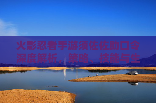 火影忍者手游须佐佐助口令深度解析，策略、技能与生态全方位解读,火影忍者手游须佐佐助教程