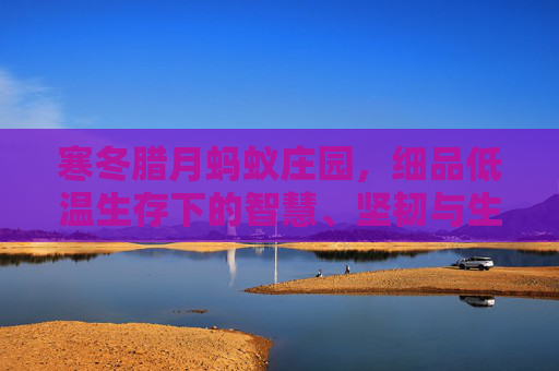 寒冬腊月蚂蚁庄园，细品低温生存下的智慧、坚韧与生活启示,寒露 蚂蚁庄园