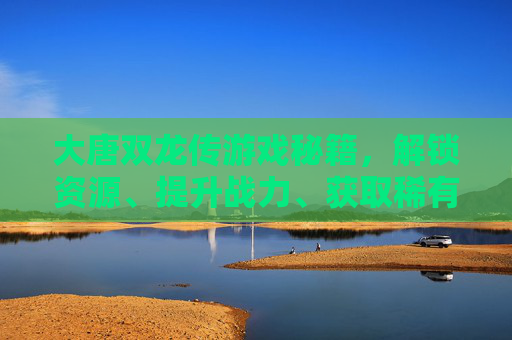 大唐双龙传游戏秘籍，解锁资源、提升战力、获取稀有成就的全方位攻略,大唐双龙传游戏单机