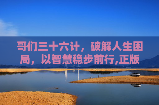 哥们三十六计，破解人生困局，以智慧稳步前行,正版三十六计全解