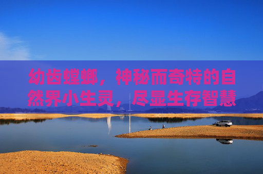 幼齿螳螂，神秘而奇特的自然界小生灵，尽显生存智慧与生态意义,幼年螳螂吃什么可以养活
