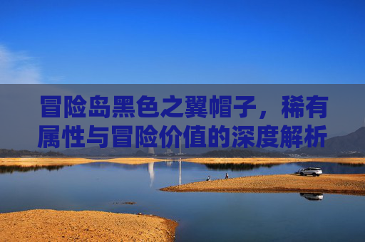 冒险岛黑色之翼帽子，稀有属性与冒险价值的深度解析,冒险岛黑色之翼的帽子有什么用