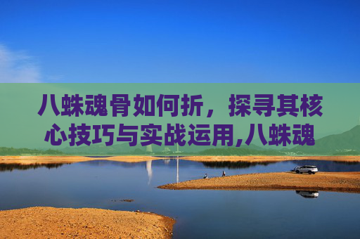 八蛛魂骨如何折，探寻其核心技巧与实战运用,八蛛魂骨多少钱一个