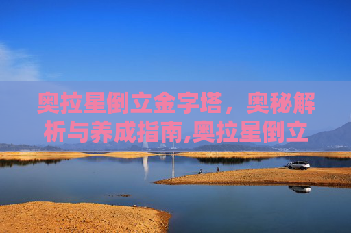 奥拉星倒立金字塔，奥秘解析与养成指南,奥拉星倒立金字塔进不去了