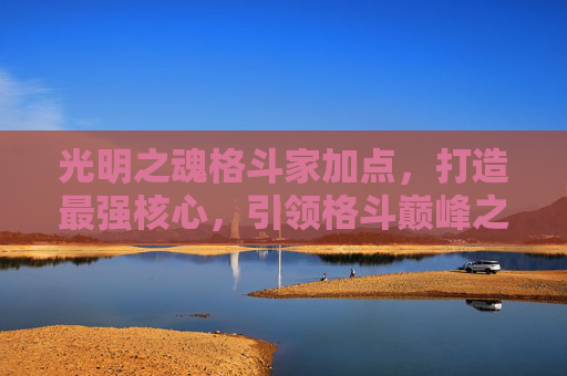 光明之魂格斗家加点，打造最强核心，引领格斗巅峰之路,光明之魂格斗家加点图