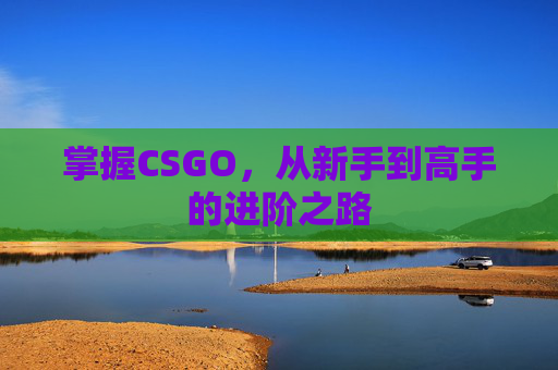 掌握CSGO，从新手到高手的进阶之路