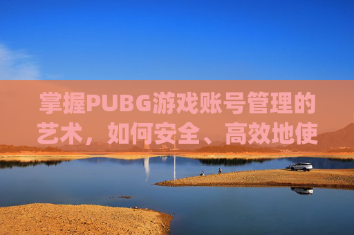 掌握PUBG游戏账号管理的艺术，如何安全、高效地使用你的账号,pubg用什么账号登录