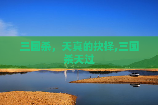 三国杀，天真的抉择,三国杀天过