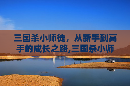 三国杀小师徒，从新手到高手的成长之路,三国杀小师徒技能介绍