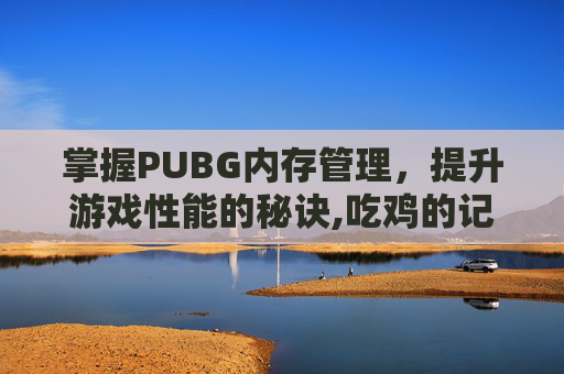 掌握PUBG内存管理，提升游戏性能的秘诀,吃鸡的记忆