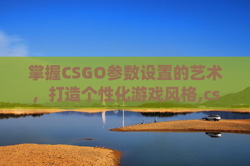 掌握CSGO参数设置的艺术，打造个性化游戏风格,csgo 参数设置